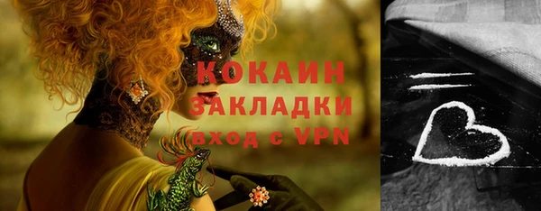 хмурый Видное