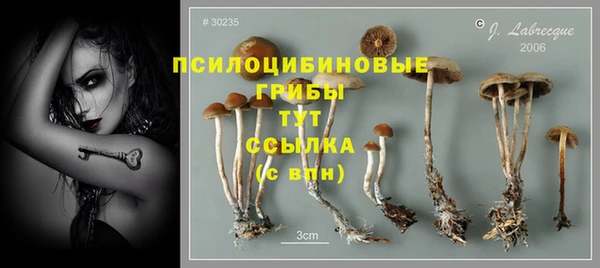 герыч Вяземский
