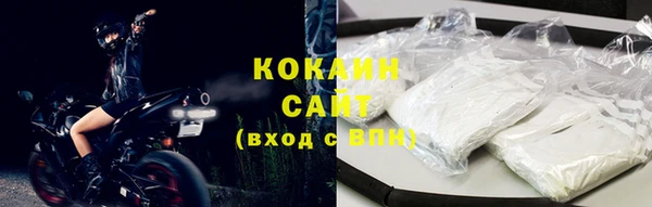 PSILOCYBIN Волосово