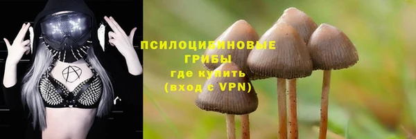 дмт Верея