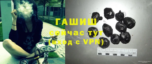 гашик Вязьма